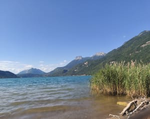 Doussard et la réserve naturelle du bout du lac d'Annecy - Doussard - 3