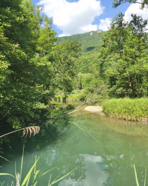 Doussard et la réserve naturelle du bout du lac d'Annecy - Doussard - 4