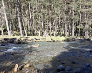 Sentier des vaches - Saint-Lary-Soulan - 9