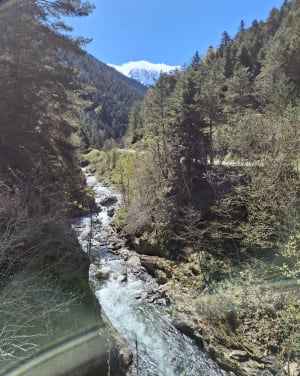 Sentier des vaches - Saint-Lary-Soulan - 11