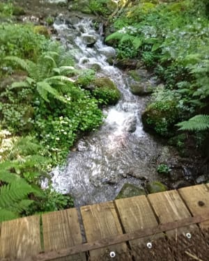 Les granges d'Hayroles - Juzet-de-Luchon - 10