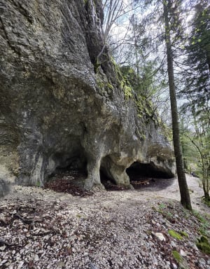 Belvédère des voies de l'Epine et son antique voie romaine - Aiguebelette-le-Lac - 39