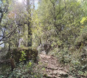 Autour de Belgentier, le Vallon des Costes - Belgentier - 19