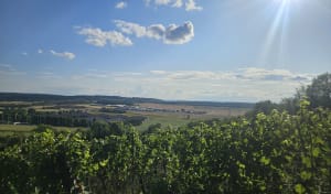 Ambérieu-en-Bugey (Vaux) - Ambérieu-en-Bugey - 2