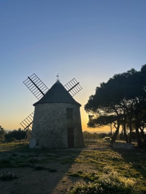 Étang de Vendres - Lespignan - 14