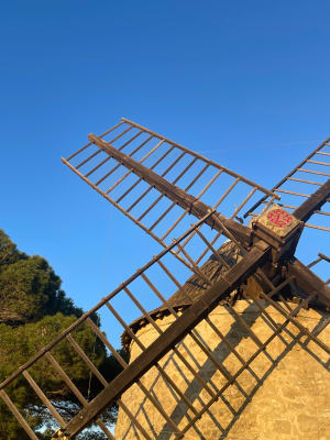 Étang de Vendres - Lespignan - 15