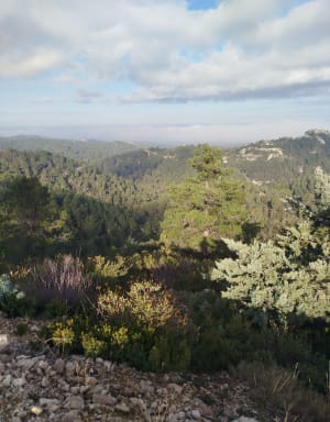 La Tour de guet et Baumayrane, vers les Baux de Provence - Les Baux-de-Provence - 19