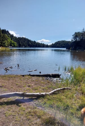 Bouillouses, les lacs du bas - Angoustrine-Villeneuve-des-Escaldes - 17