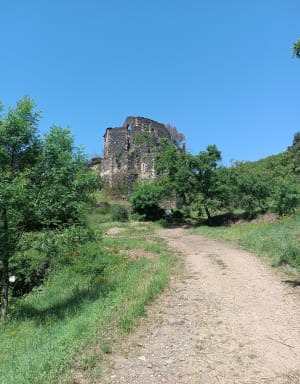Klim naar Notre-Dame-de-Roubignac en de kasteelruïnes - Octon - 7