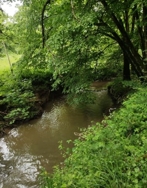 Le moulin Barbet - La Remaudière - 4