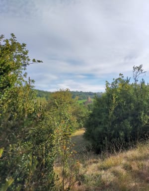 Inières, son église fortifiée et sa nature verdoyante - Sainte-Radegonde - 14