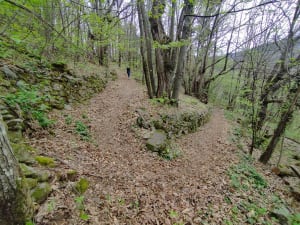 Promenade enchantée au départ de Prunet - Prunet - 18