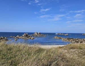 Balade sur la côte Nord du Finistère - Cléder - 43