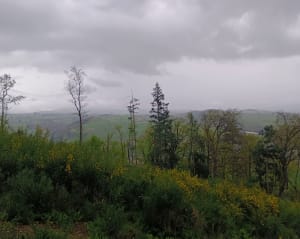 Les Trois Croix et vue sur la plaine du Forez - Saint-Galmier - 15