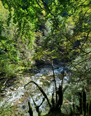 Boucle en passant par la cascade de la Sandezanne - Confort - 13