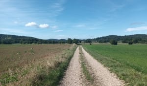 Passage par Noirefontaine depuis Serrières-sur-Ain - Serrières-sur-Ain - 3