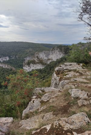 Saint-Antonin-Noble-Val et le cirque de Bône - Saint-Antonin-Noble-Val - 17