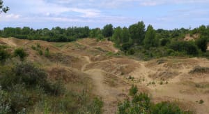 Balade sur la dune du Perroquet à Bray-Dunes - Bray-Dunes - 9