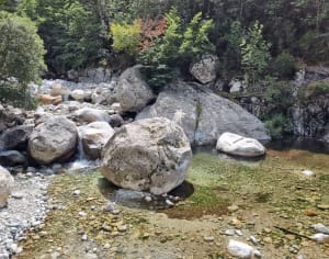 Les bergeries de Capiaghja Vizzavona - Bocognano - 10