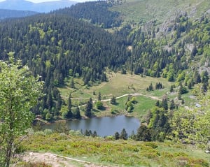 Lac Noir, Lac du Forlet - Orbey - 26
