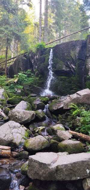 Saut de la Bourrique et Tête de Mérelle à Géradmer - Gérardmer - 45