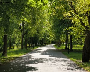 Trasa park Cytadela, historycznie i przyrodniczo - Poznań - 9