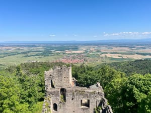 Dambach-la-ville / Bernstein / Rochers des celtes / Dieffenthal - Dambach-la-ville - 10
