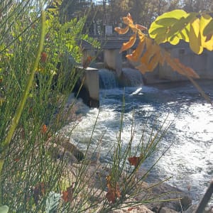 Promenade au parc de la Cheneraie et détente près du canal - GUJAN-MESTRAS - 4