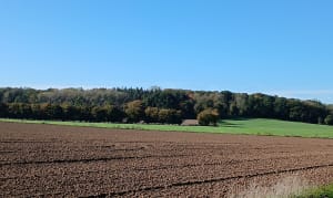 Randonnée autour de Camblain - Camblain-l'Abbé - 7