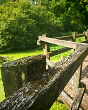 Marais de Cambrin et Annequin - Cuinchy - 3