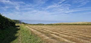 Incontournables paysages de Saint-Pierre-en-Port - Saint-Pierre-en-Port - 17