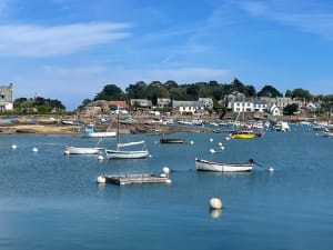 Tour de l'île grande. - Trébeurden - 39