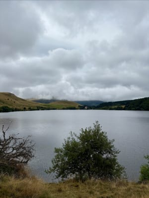 Guéry-plateau en Banne d'Ordanche nabij Mont-Dore - Perpezat - 17
