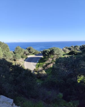 Trektocht in het bos en een subliem uitzicht op Cap Sicié - La Seyne-sur-Mer - 20