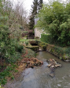 Sur les sentiers du moyen âge à Sainte-Suzanne - Sainte-Suzanne-et-Chammes - 11