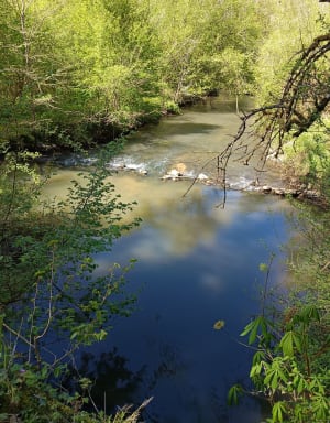 Esvres-sur-Indre entre rivières, châteaux et moulins - Esvres-sur-Indre - 19