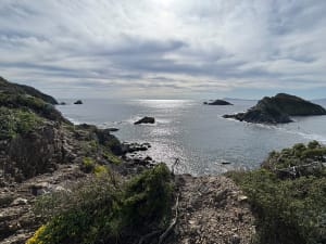 Presqu'île de Giens et périple entre voiles marines et goélands - Hyères - 6