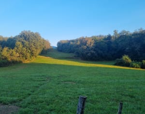 Tour du lac de Morgnieu et charmes du Bugey - Cuzieu - 3