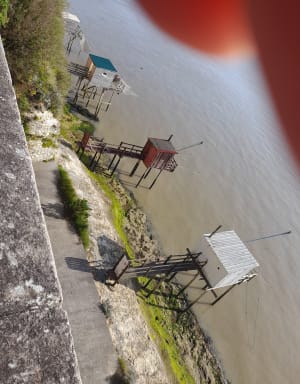 Balade sur le port et la corniche de Meschers-sur-Gironde - Meschers-sur-Gironde - 16