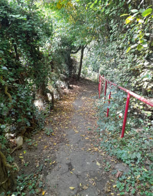 Cascade de Blangy - Hirson - 22