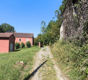 Circuit du Vieux Moulin à Mirandol-Bourgnounac - FABIENNE - 13