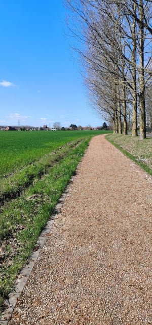 Balade aux abords de Mouvaux, Bondues et le Château de Vert Bois - BenoO - 7
