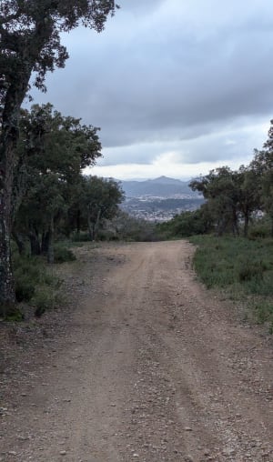 Balade en Forêt à St Barthélemy - Pignans - 5