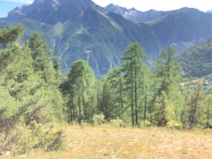 Freissinières et grand bol d'air aux Balmettes - Freissinières - 6