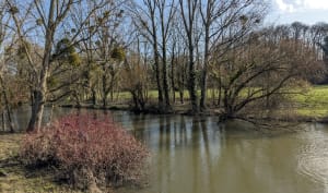 Boucle depuis Vern Sur Seiche - Vern-sur-Seiche - 7