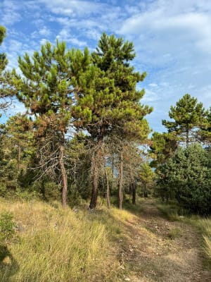 Vadrouille sur les hauteurs de Nice et panorama à 360° - Aspremont - 9