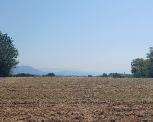 Sur les chemins champêtres de Saint-Baudille-de-la-Tour - Saint-Baudille-de-la-Tour - 2