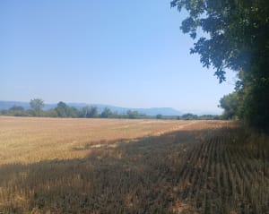 Sur les chemins champêtres de Saint-Baudille-de-la-Tour - Saint-Baudille-de-la-Tour - 3