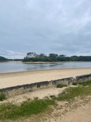 Le tour du lac d’Albret - Soustons - 20