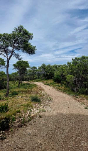 Virée boisée au large de Bragassargues - Bragassargues - 2